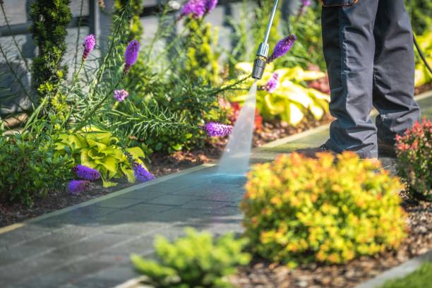 Best Boat and Dock Cleaning  in Bellevue, IL